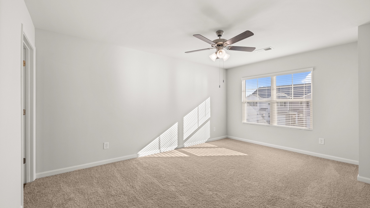 Pearson Interior