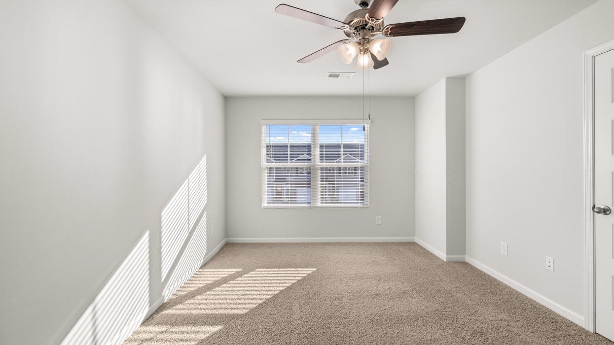 Pearson Interior