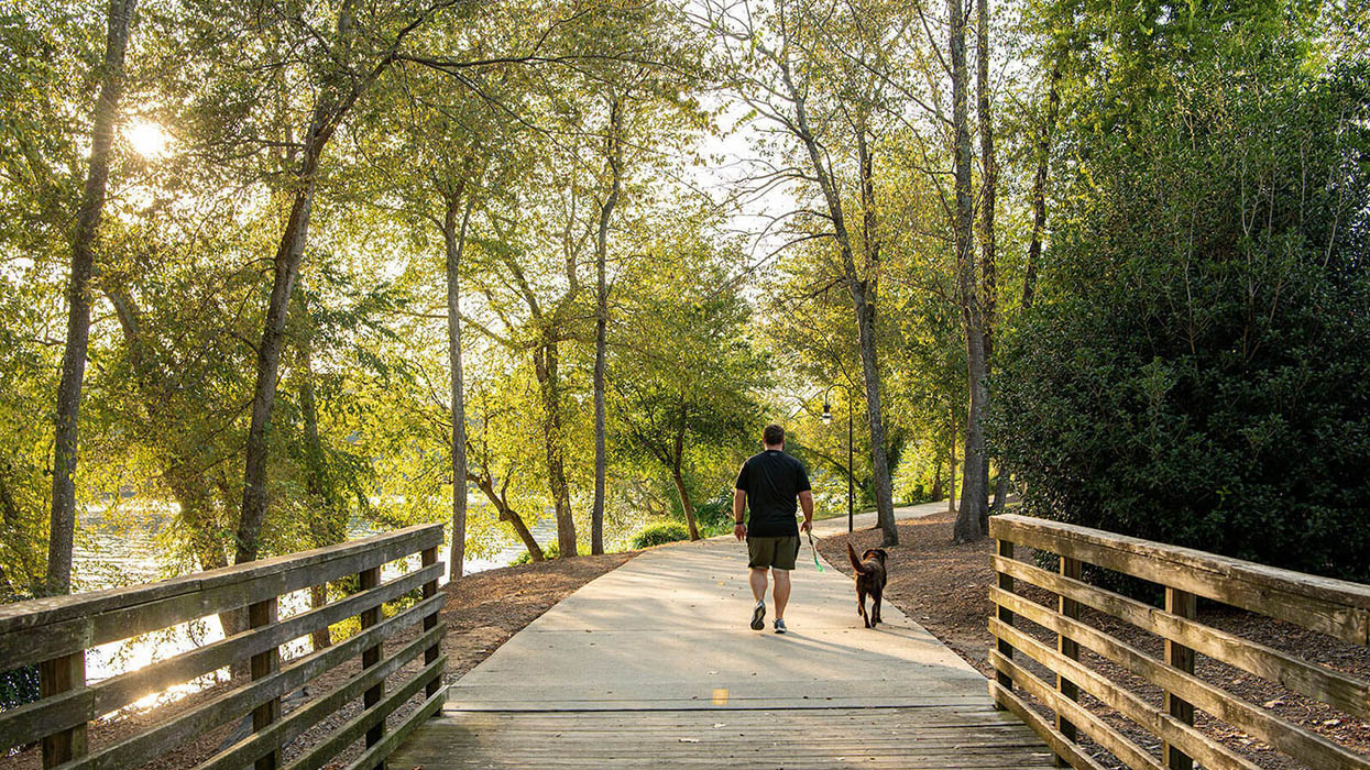 Greeneway Park bridge