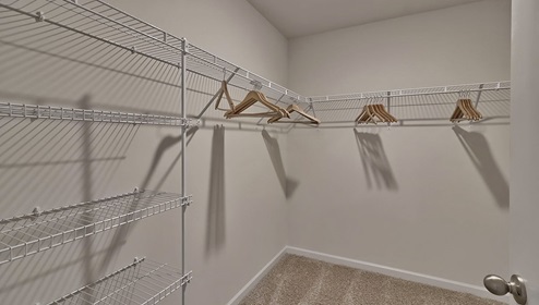 Primary walk in closet, carpeted with hanging racks
