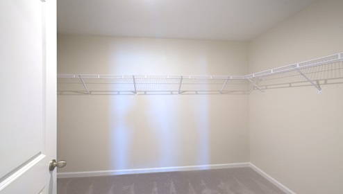 Primary bedroom carpeted walk in closet