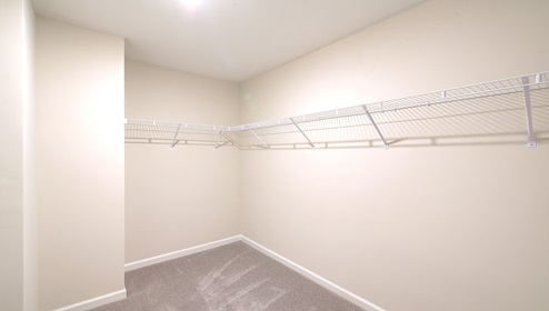 Primary bedroom carpeted walk in closet