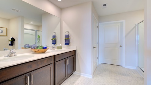 Primary bathroom with double sink vanity, brown cabinets, large bathtub and standing glass door shower