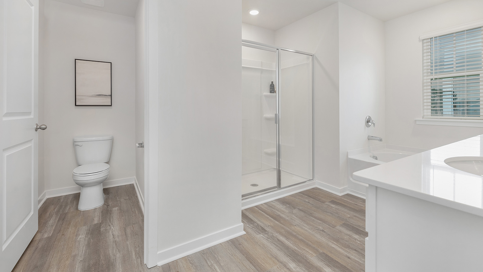Primary bathroom with toilet closet and walk in shower