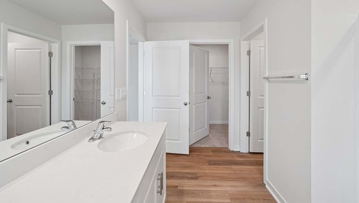 Primary bathroom with vanity