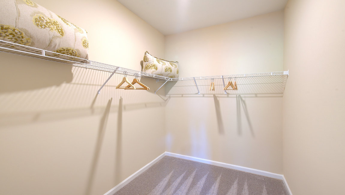 Walk in closet with shelving