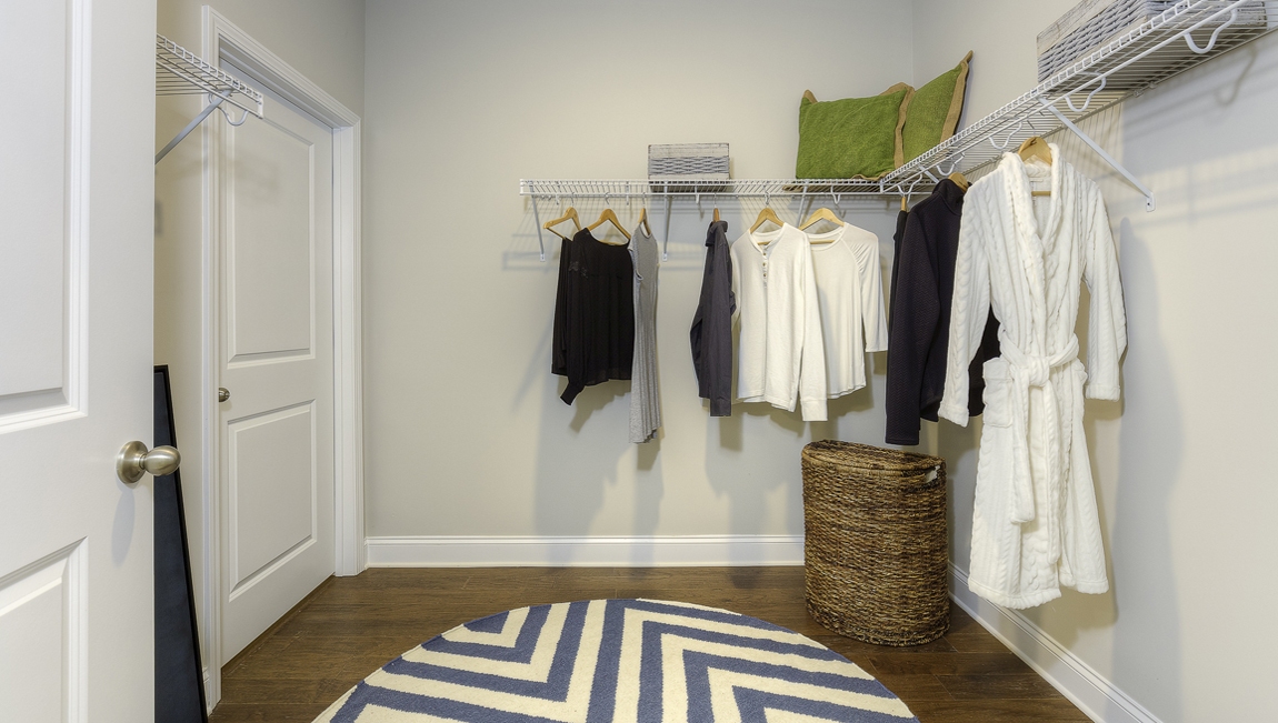 Primary walk in closet, wood floors
