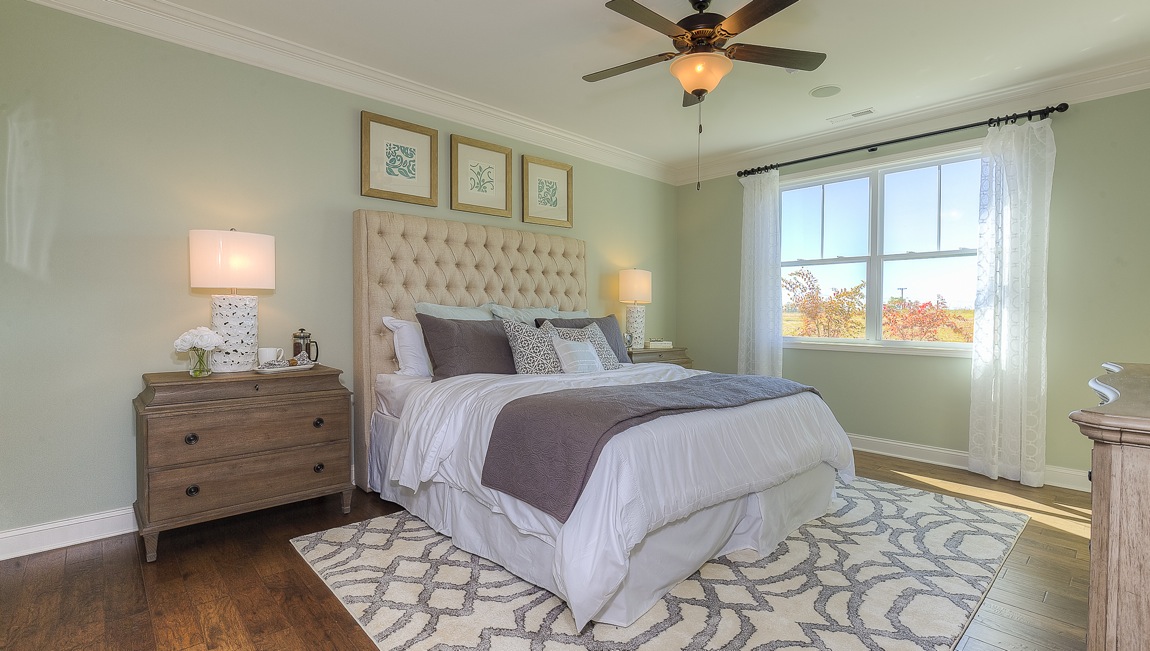 Primary bedroom with wood floors, and large window
