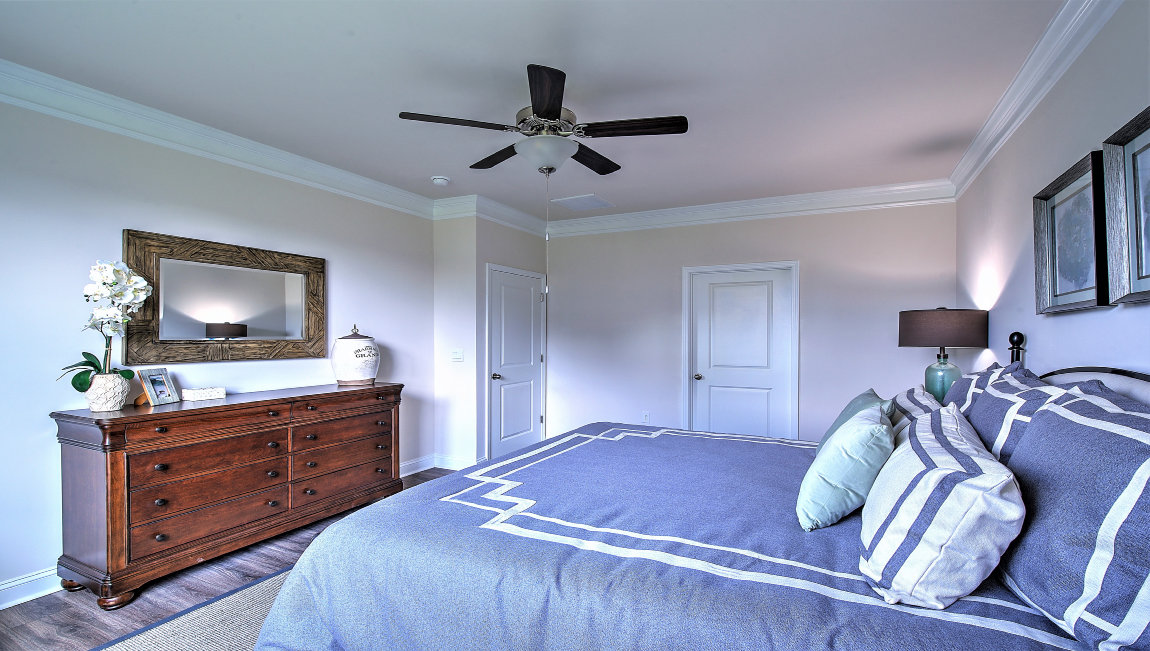 Primary bedroom with large window