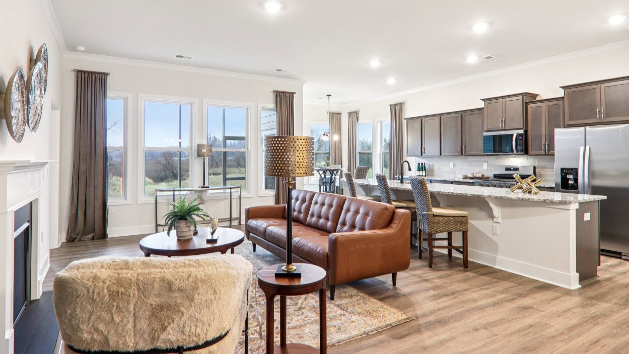 Open living and kitchen areas