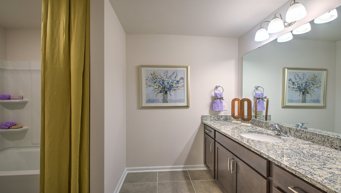 Bathroom with double vanity