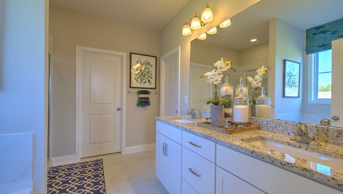 Primary bathroom with double vanity