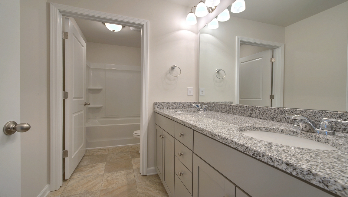 Bathroom with vanity and closet