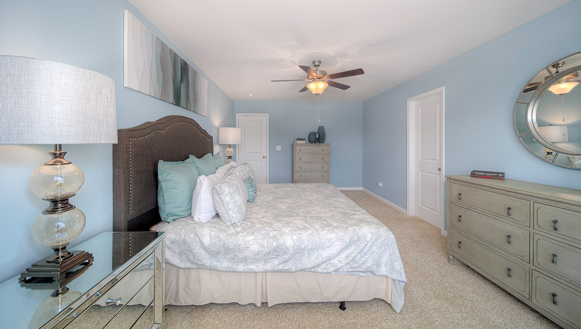 Primary bedroom with carpet and large window