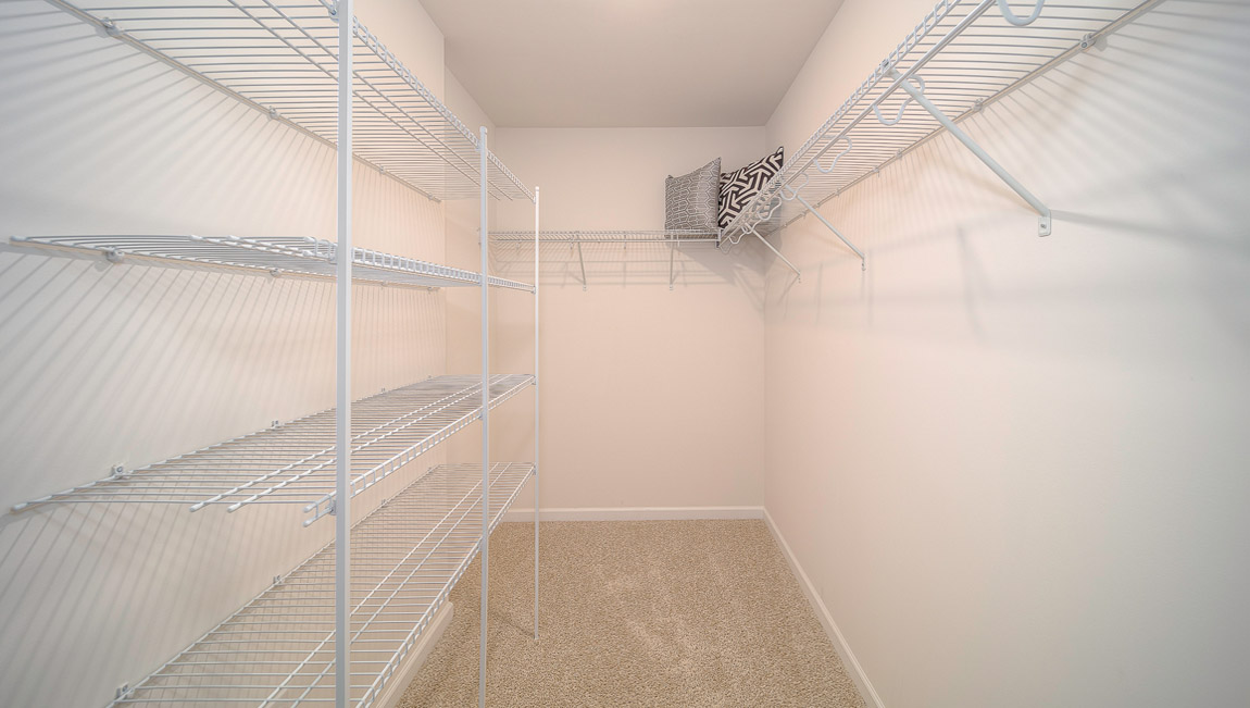 Primary walk in closet with carpet and built in hanger and storage racks