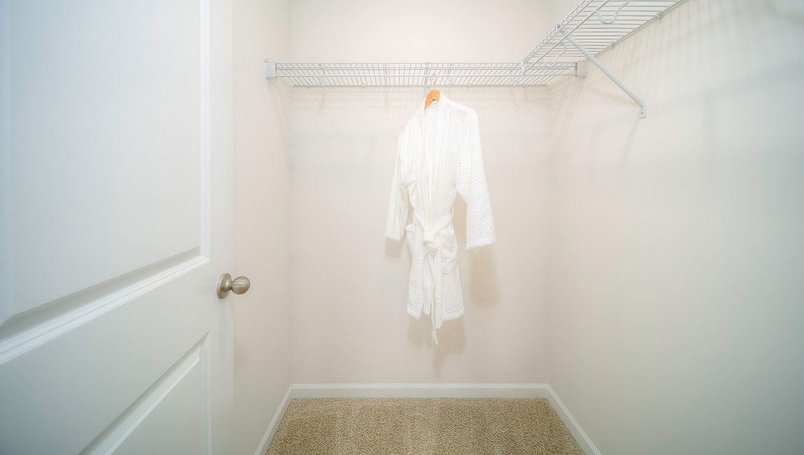 Walk in closet with shelving