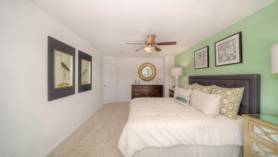 Primary bedroom with large windows