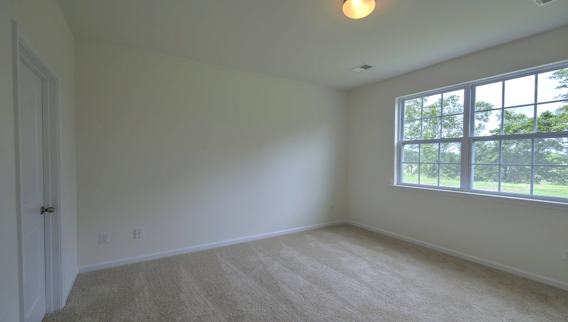 Primary carpeted bedroom with large window