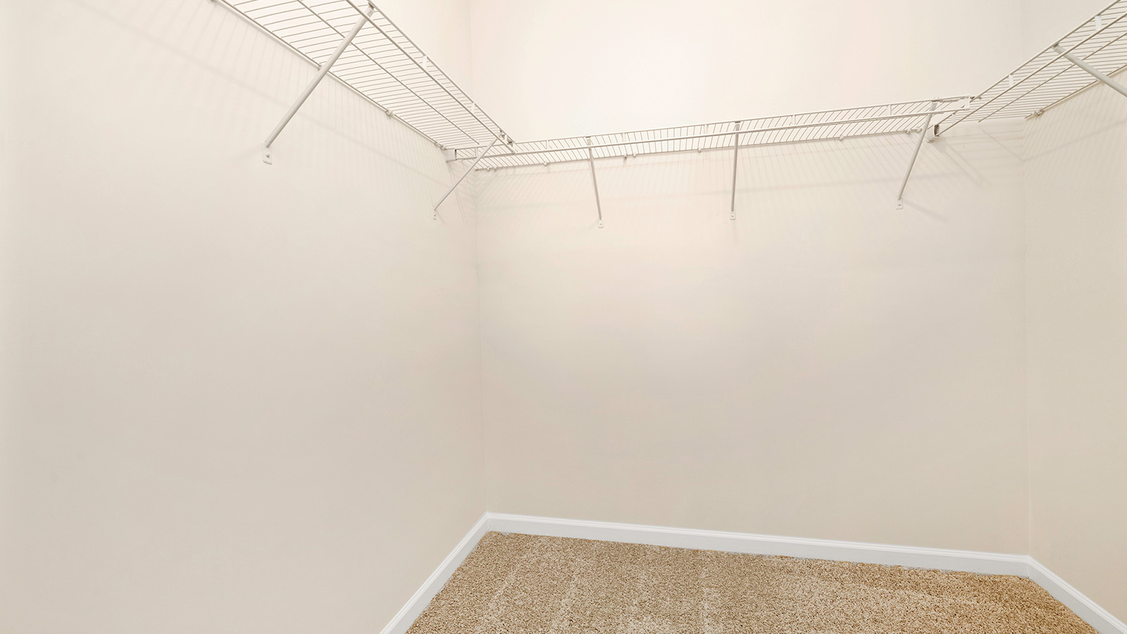Carpeted walk in closet