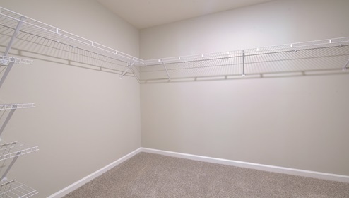 Primary bedroom walk in closet with carpet and built in hanging racks