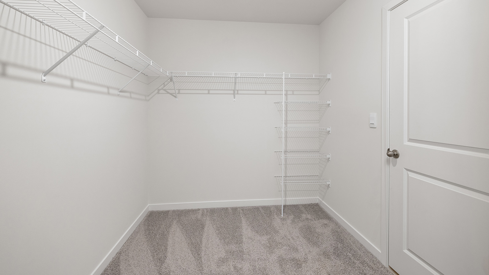 Primary walk in closet, wood floors, and racks