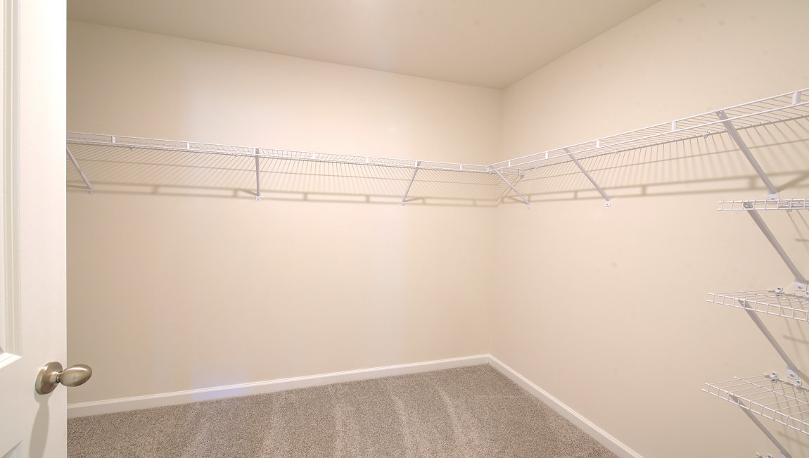 Carpeted walk in primary closet