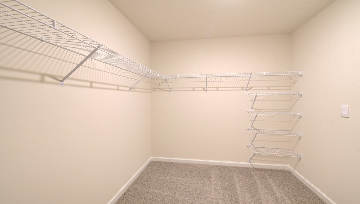 Carpeted walk in closet with shelving