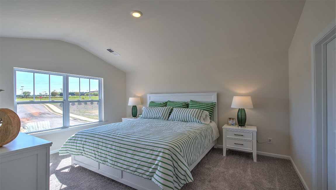 Primary bedroom with carpet and large window