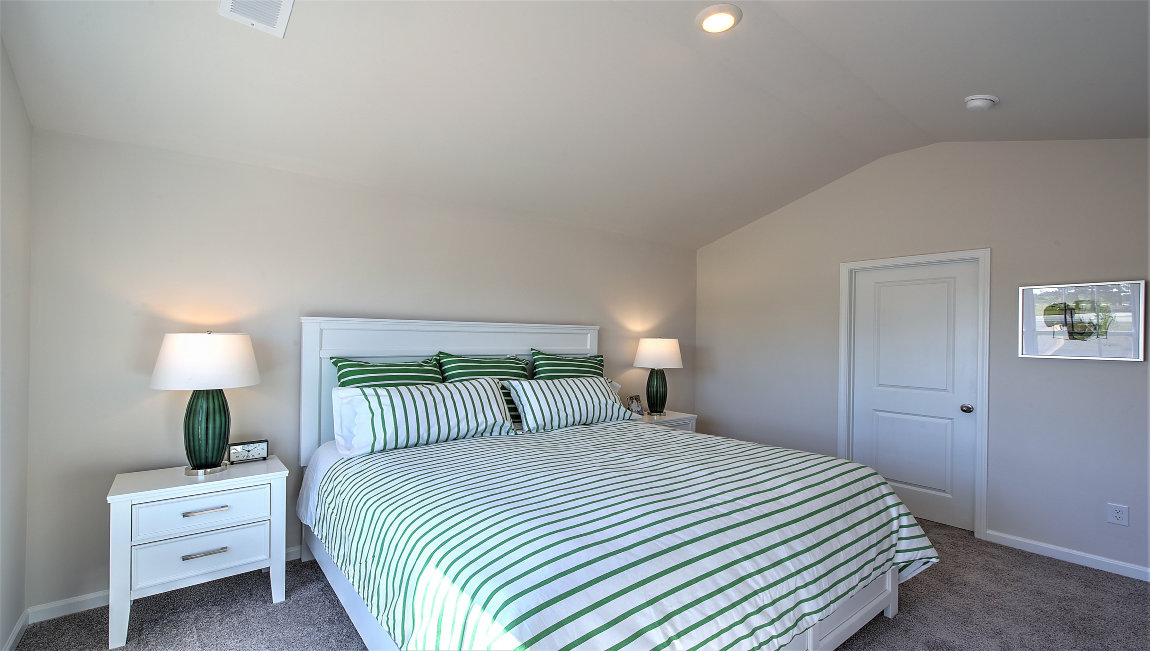 Primary bedroom with carpet and large window