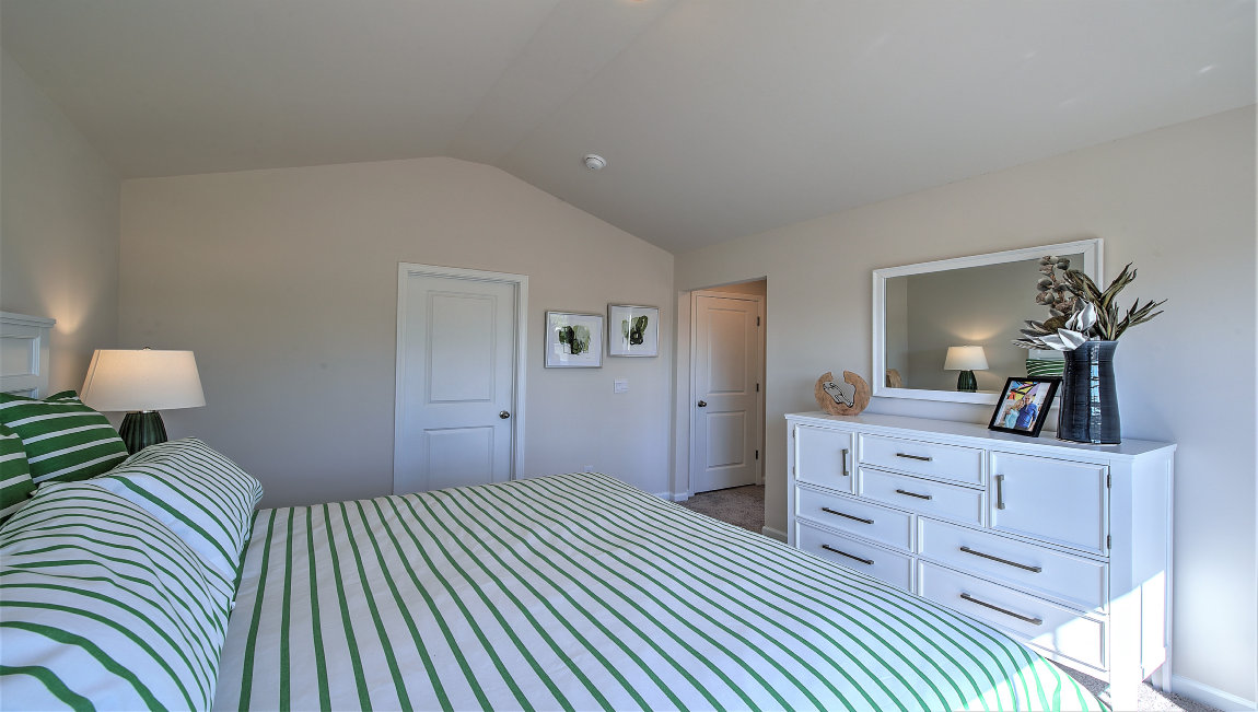 Primary bedroom with carpet and large window