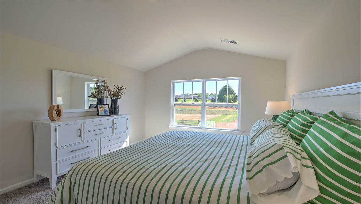 Primary bedroom with carpet and large window