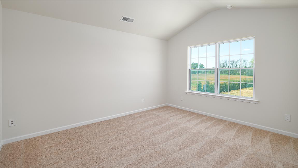 Primary bedroom with carpet and large window