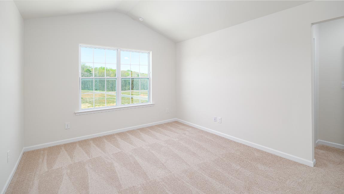 Primary bedroom with carpet and large window