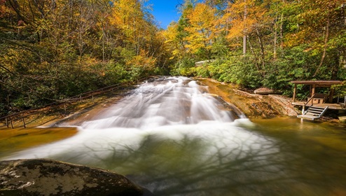 Pisgah National Forest