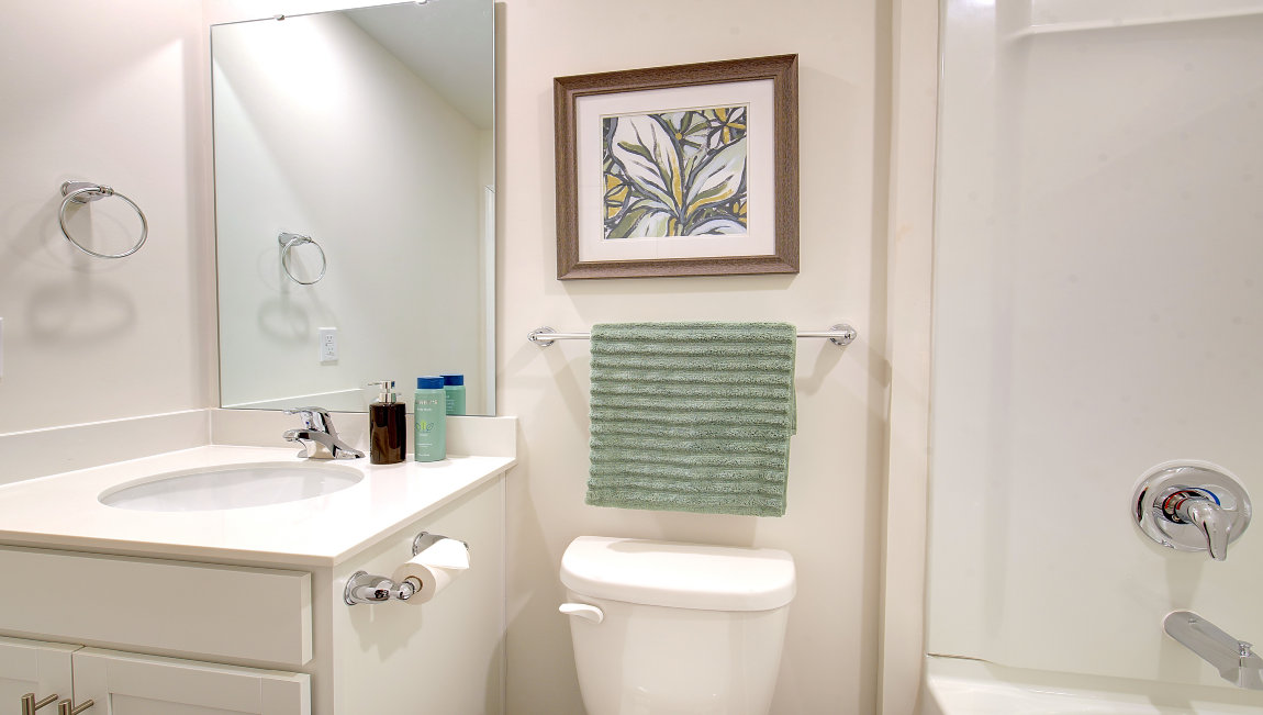 Bathroom with white cabinets and countertop