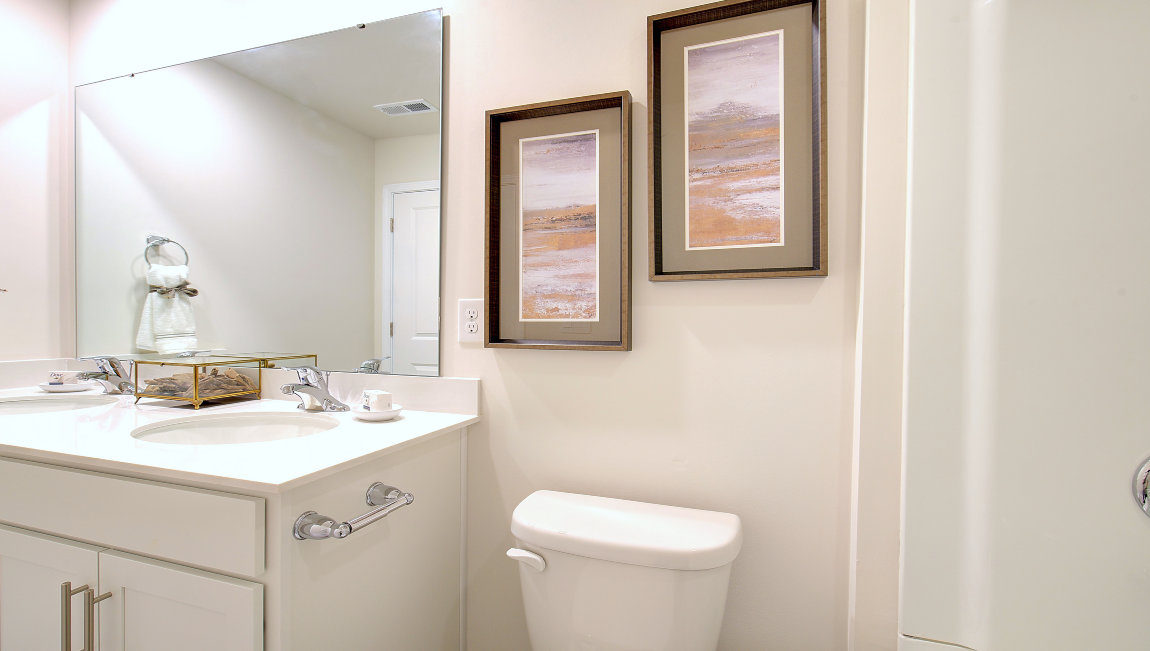 Primary bathroom with double sink vanity and bathtub and shower combination
