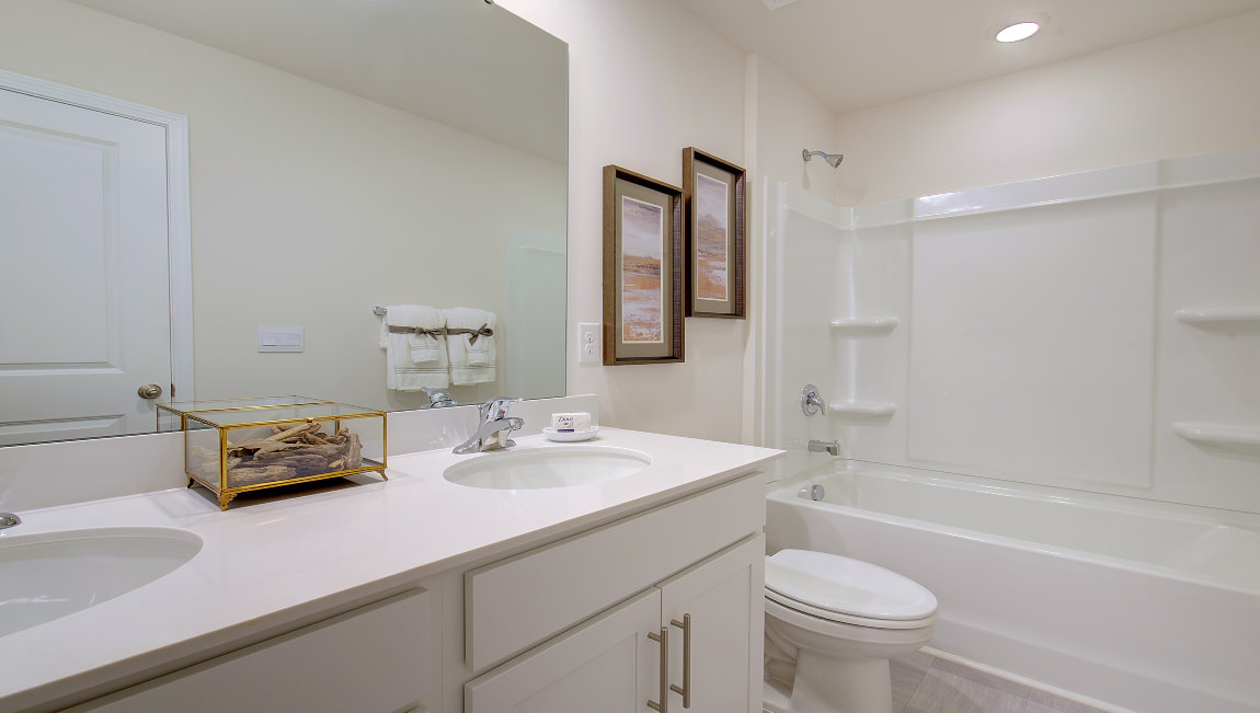 Primary bathroom with double sink vanity and bathtub and shower combination
