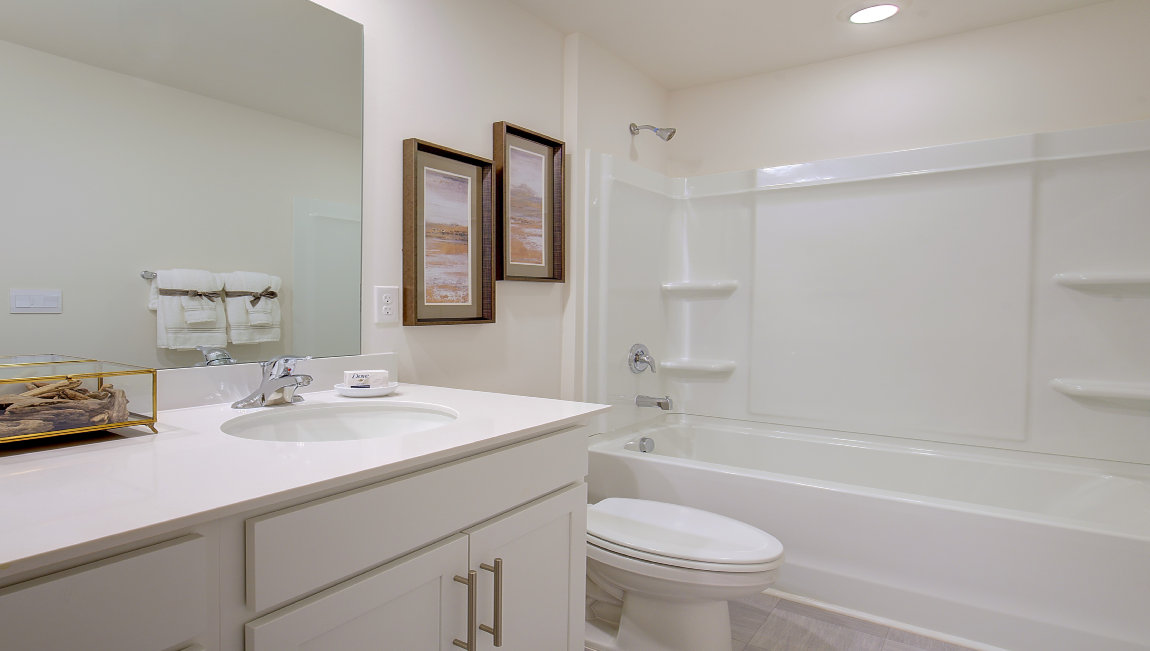 Primary bathroom with double sink vanity and bathtub and shower combination