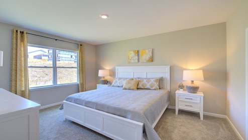 Primary bedroom with beige carpet and large window