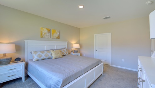 Primary bedroom with beige carpet and large window