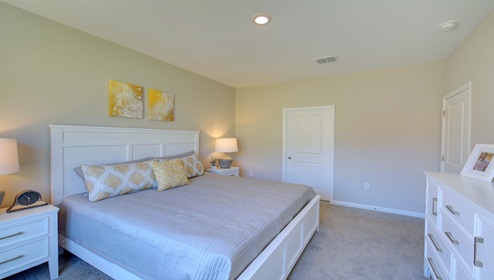 Primary bedroom with beige carpet and large window