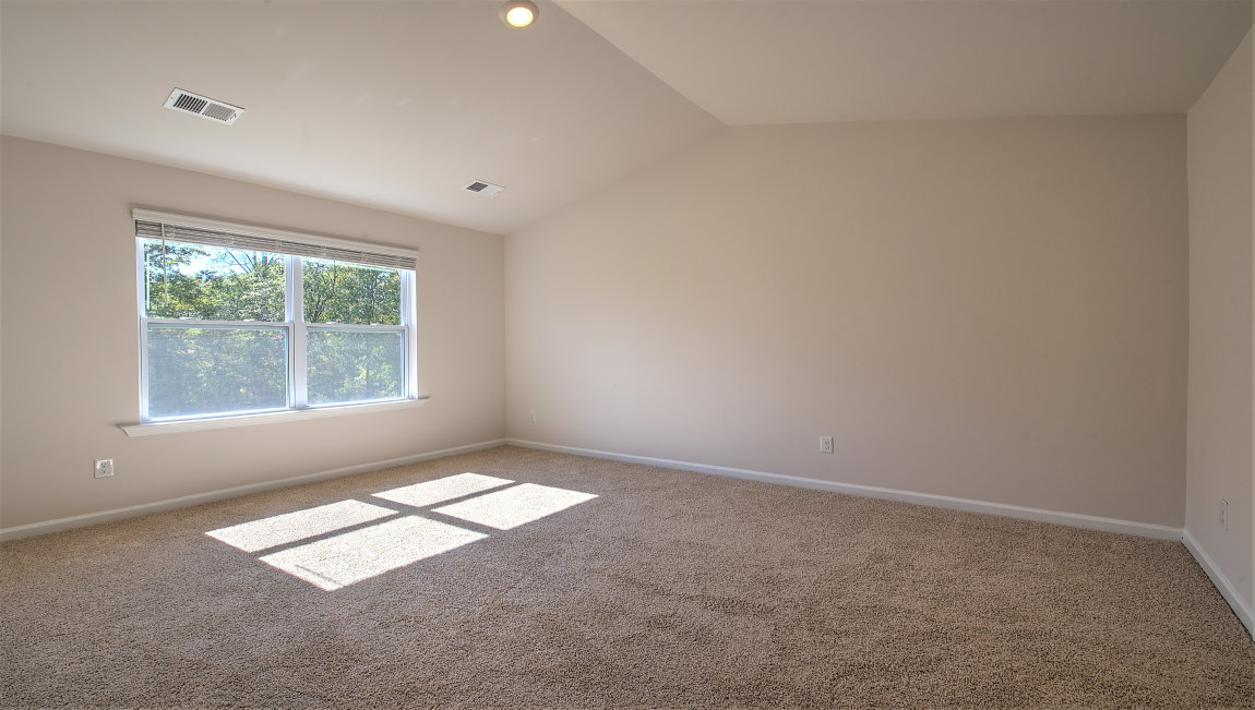 Primary bedroom with carpet and large window
