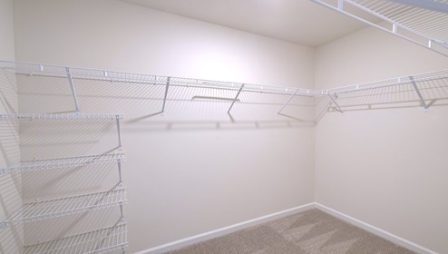 Primary bedroom walk in closet with carpet