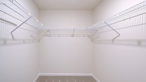 Primary bedroom walk in closet with carpet