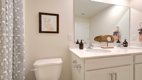 Bathroom with double sink vanity