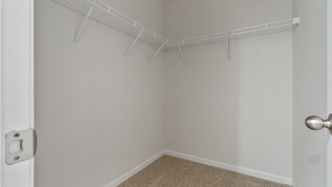 Primary carpeted walk in closet
