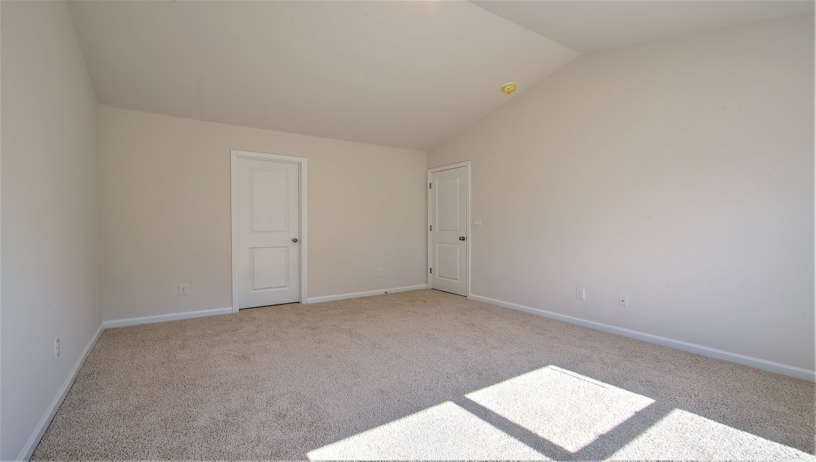 Primary bedroom with carpet and large window