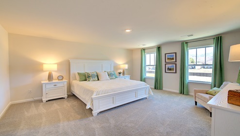 carpeted primary bedroom with two large windows