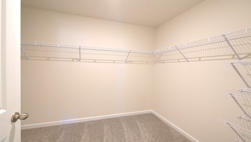 carpeted primary walk in closet