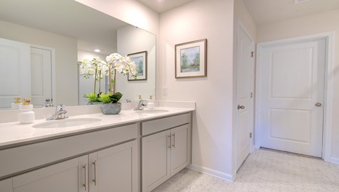 bathroom with double sink vanity and bathtub shower combination